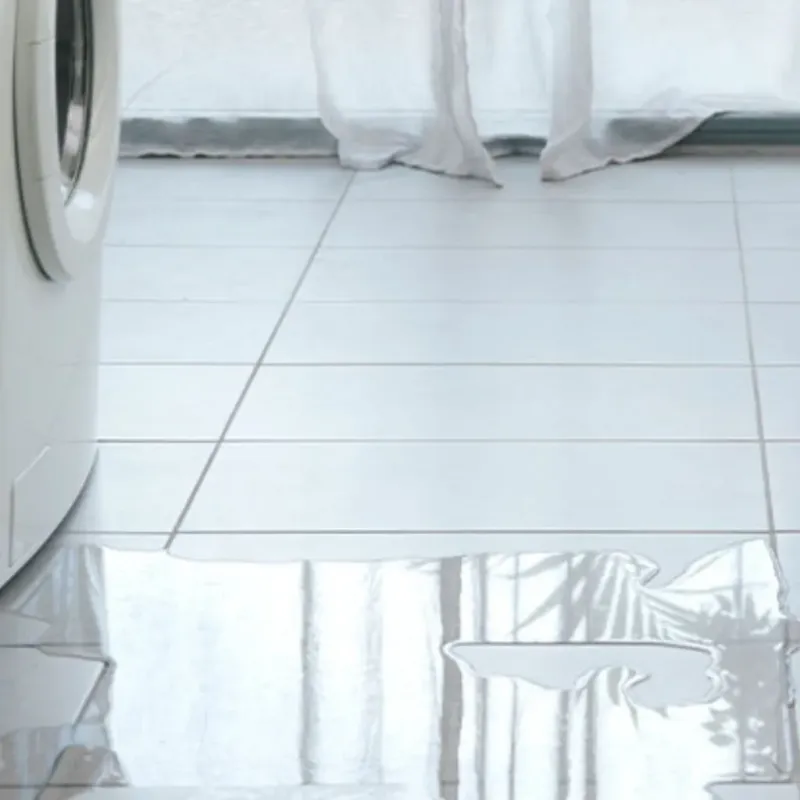 Appliance Leak Cleanup in Milan, NH