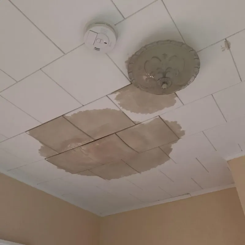 Ceiling Water Damage Repair in Milan, NH