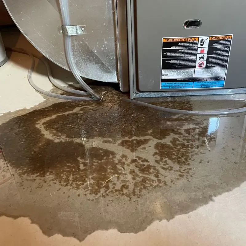Pipe Burst and Leak Restoration in Milan, NH