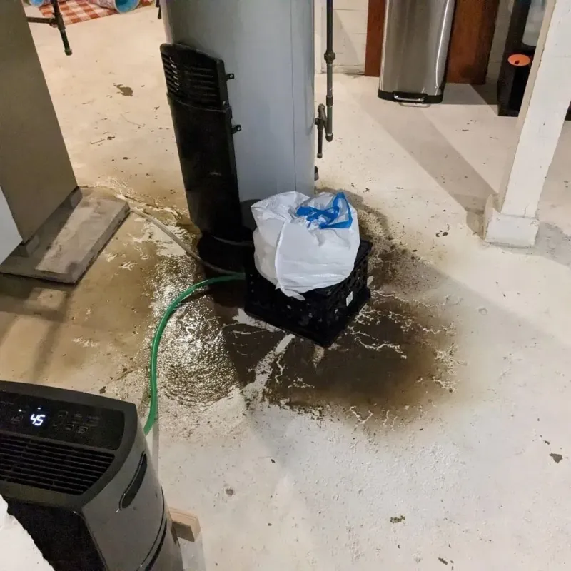 Sewage Backup Cleanup Service in Milan, NH